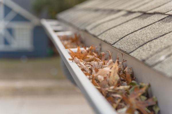 Leaf Barrier Installation in Buford